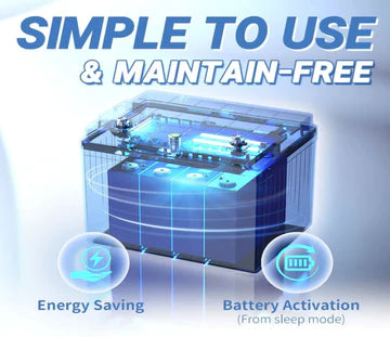 Warum sind LiFePO4-Batterien die beste Wahl für Camping? Vorteile und Gründe | Redodo Blog