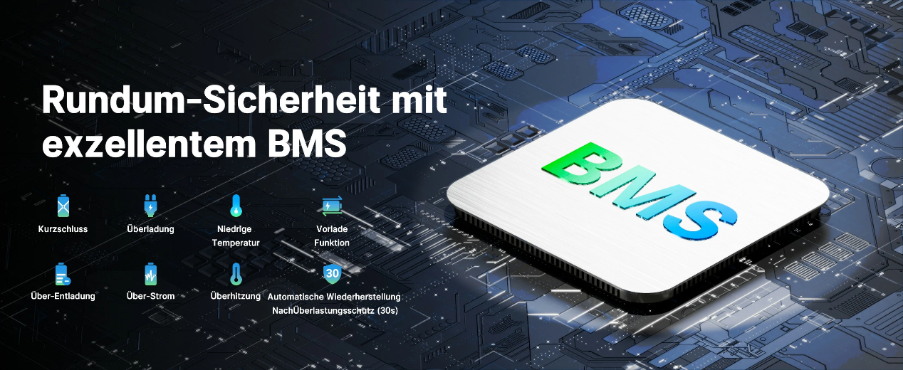 LiFePO4 Batterie Management System