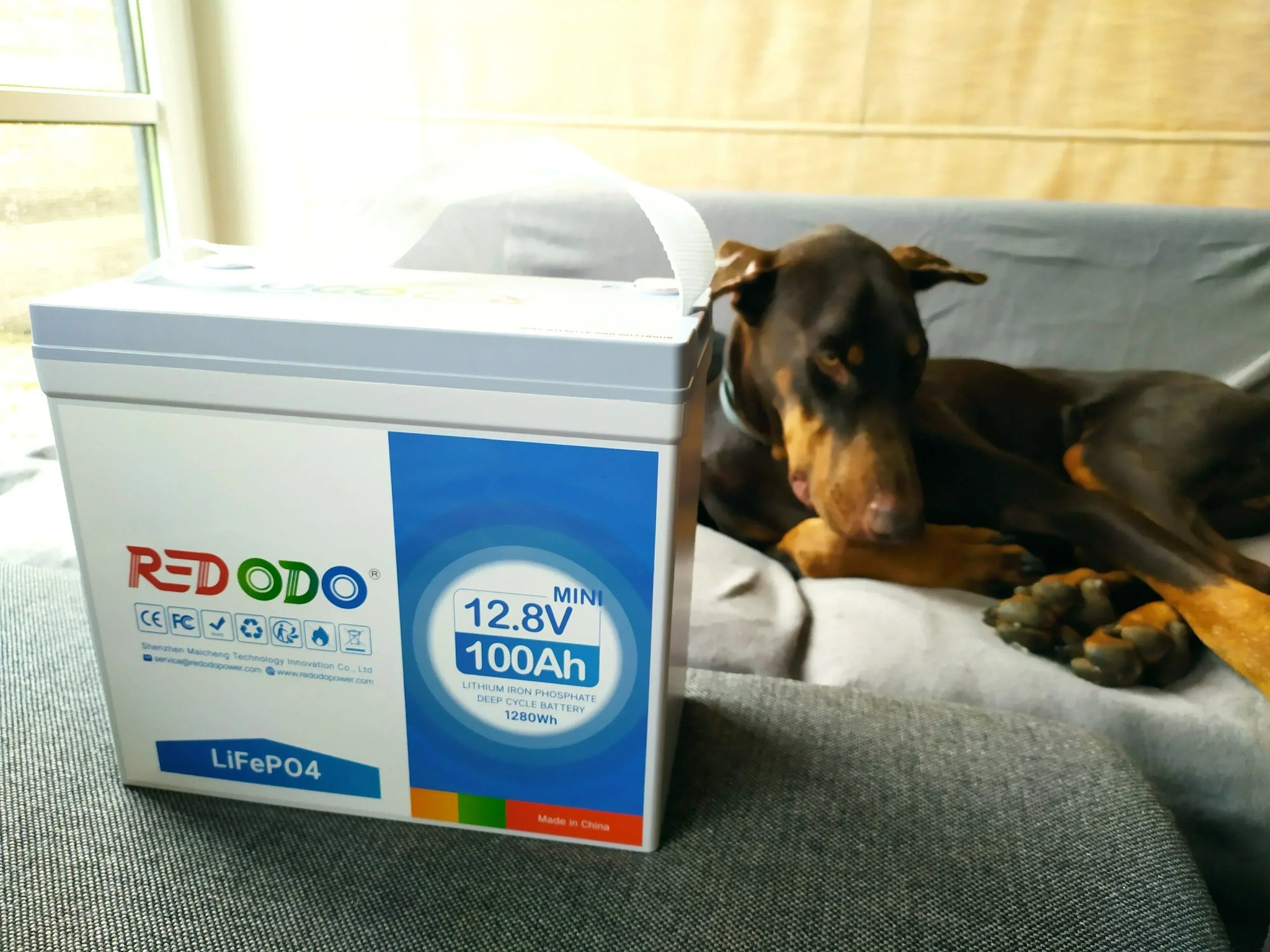 Redodo Kundenerfahrung: Zuverlässige LiFePO4 Batterien mit Top-Service
