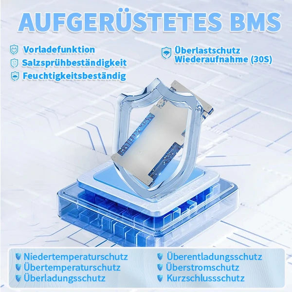 Redodo 12V 100Ah Gruppe 24 LiFePO4 Batterie mit hochentwickelte BMS