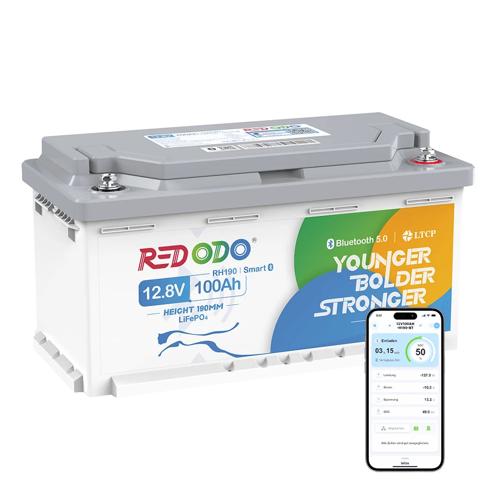 12V 100Ah H190 Untersitz Lithium Batterie