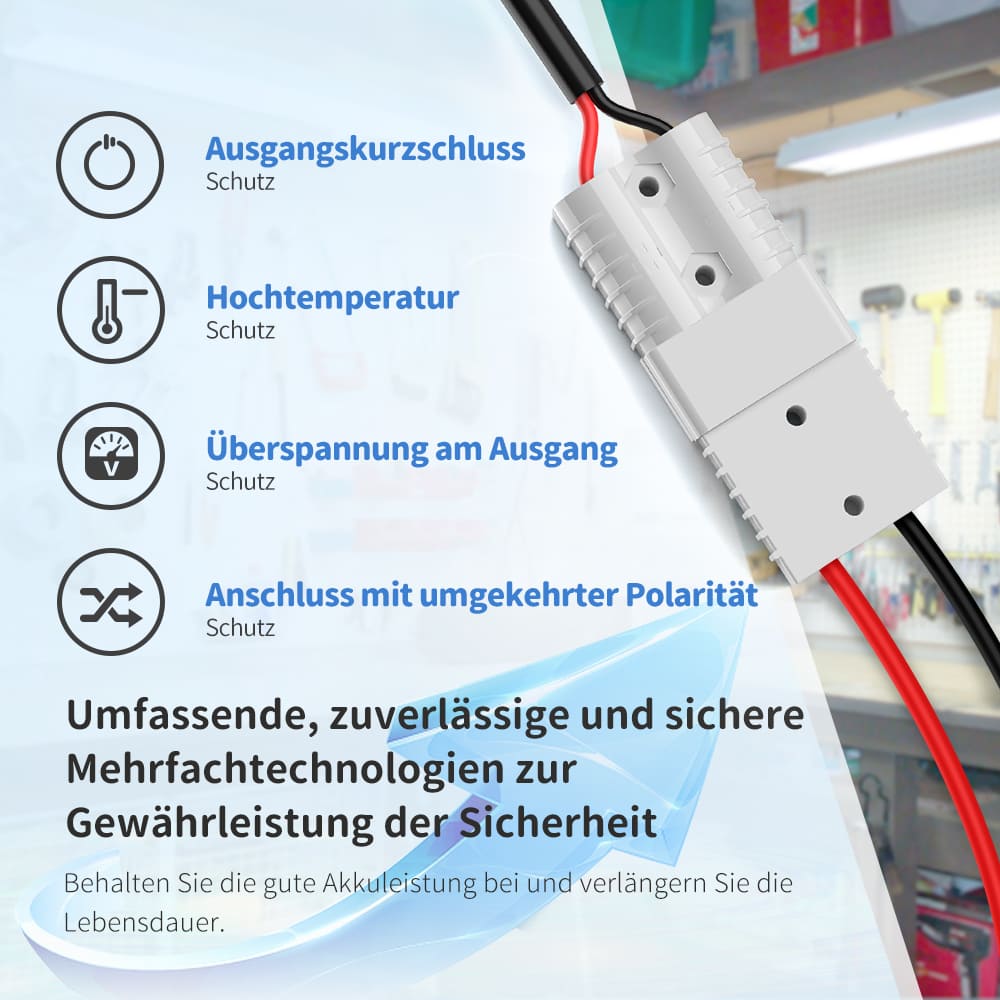 Redodo 14,6V 10A Lifepo4 Batterieladegerät für Lithium-Eisenphosphat-Batterien redodopower-de