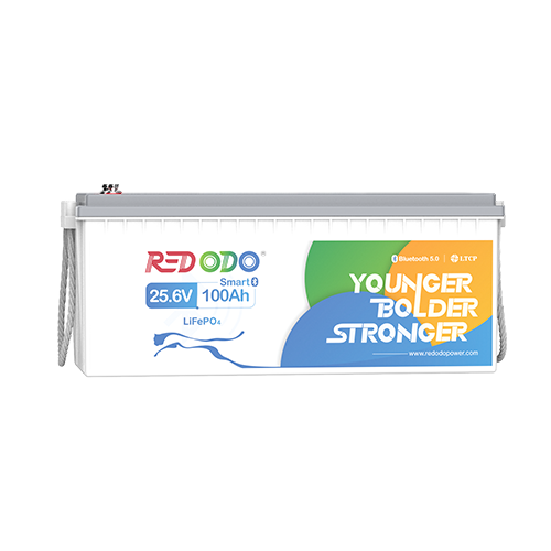 Redodo 24V 100Ah Bluetooth LiFePO4 Batterie