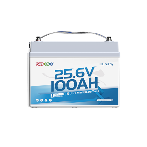 24V 100Ah Ultra-mini Bluetooth