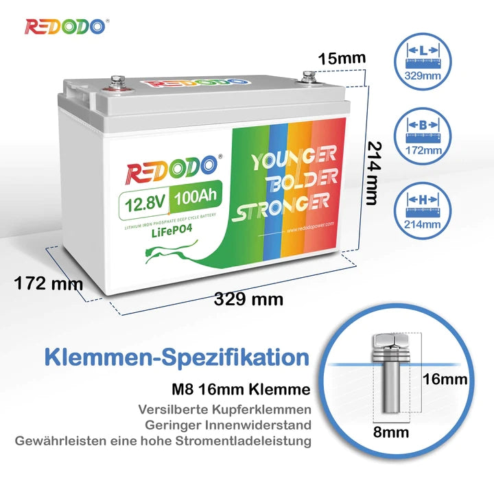 Redodo 12V 100Ah Deep Cycle LiFePO4 Batterie --Umsatzsteuerbefreiung