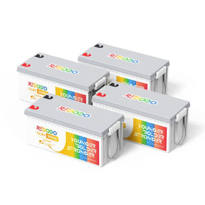 Redodo LiFePO4 12V 300Ah Tiefzyklus Lithium ionen akku | 3,84kWh & 2,56kW